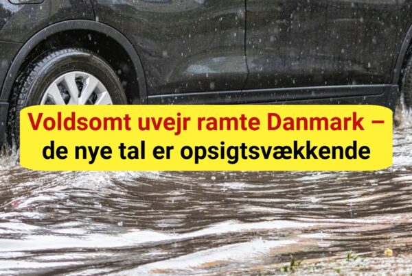 Voldsomt uvejr ramte Danmark – de nye tal er opsigtsvækkende