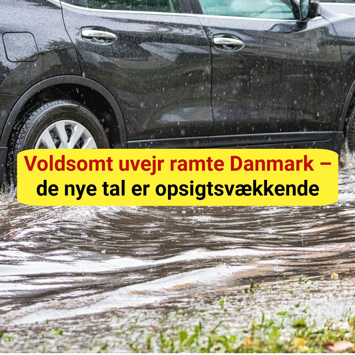 Voldsomt uvejr ramte Danmark – de nye tal er opsigtsvækkende