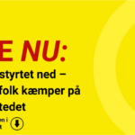 Turistfly styrtet ned – redningsfolk kæmper på ulykkesstedet