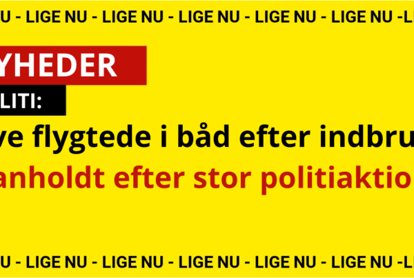 Tyve flygtede i båd efter indbrud – anholdt efter stor politiaktion
