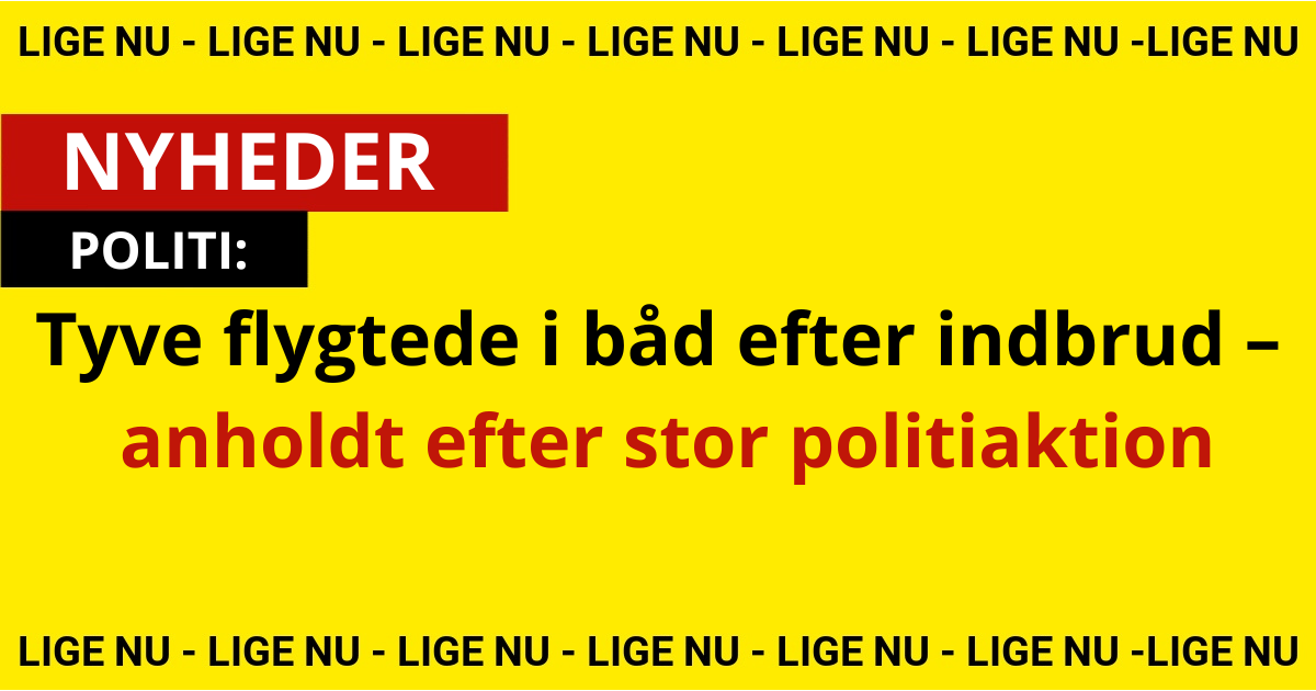 Tyve flygtede i båd efter indbrud – anholdt efter stor politiaktion