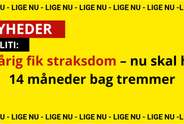 30-årig fik straksdom – nu skal han 14 måneder bag tremmer