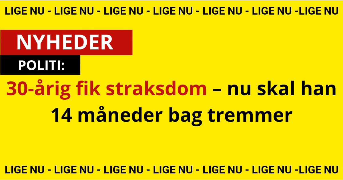 30-årig fik straksdom – nu skal han 14 måneder bag tremmer