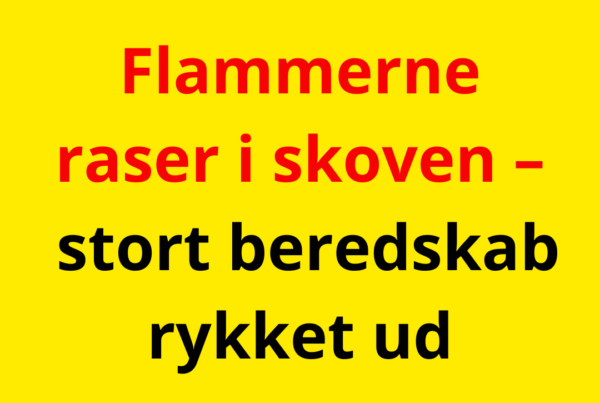 Flammerne raser i skoven – stort beredskab rykket ud