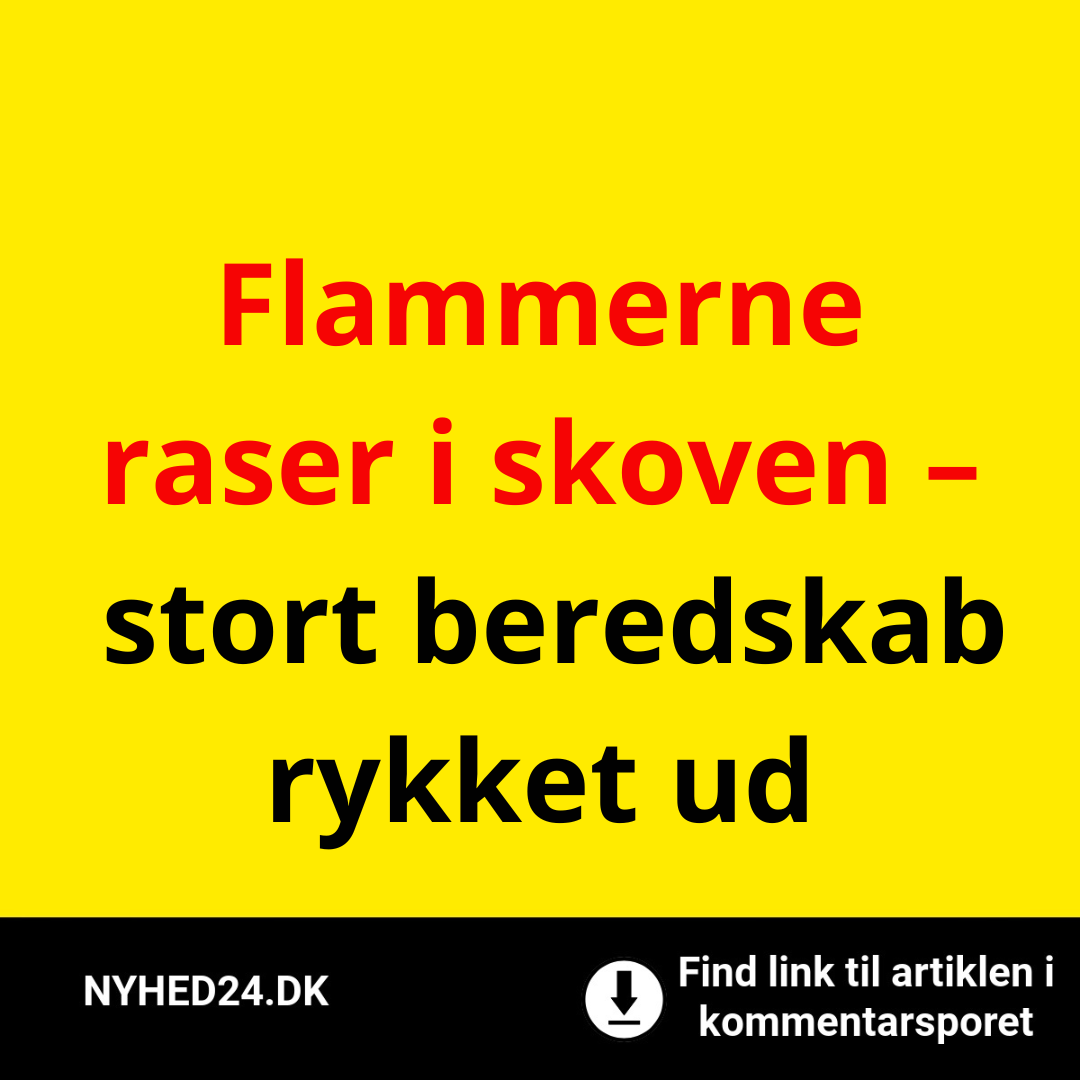 Flammerne raser i skoven – stort beredskab rykket ud