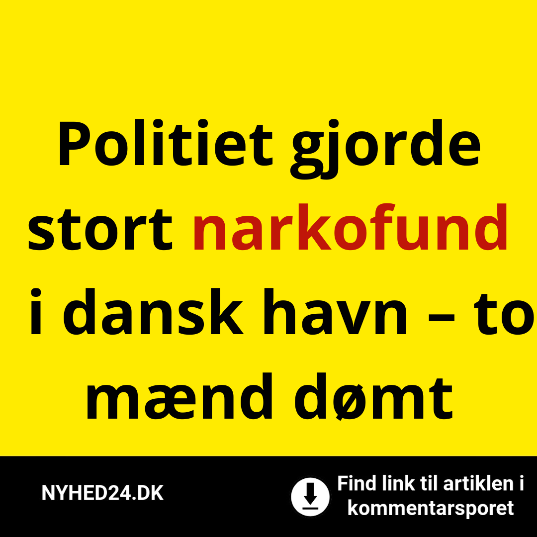 Politiet gjorde stort narkofund i dansk havn – to mænd dømt