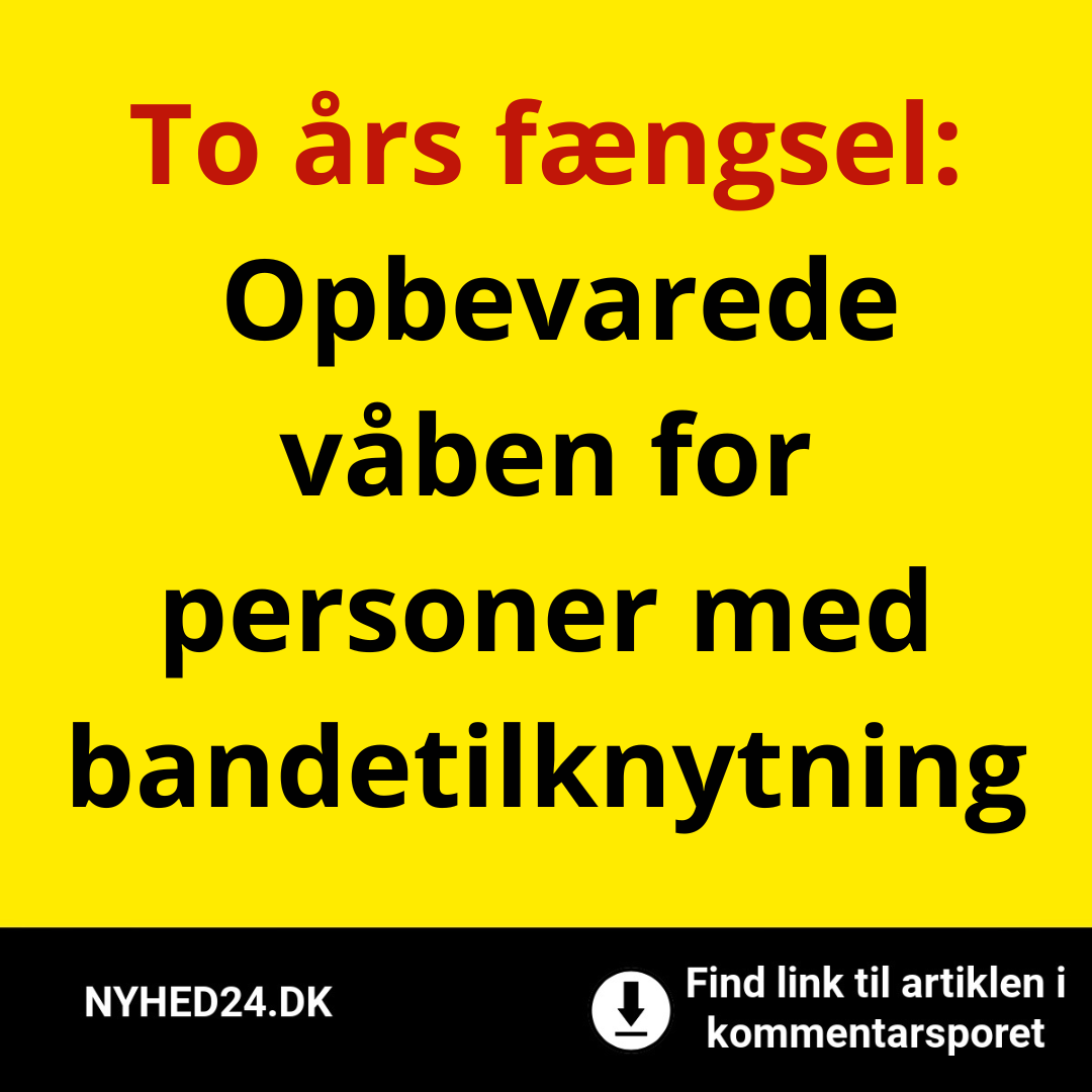 To års fængsel: Opbevarede våben for personer med bandetilknytning