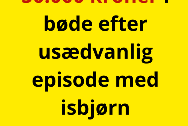 50.000 kroner i bøde efter usædvanlig episode med isbjørn