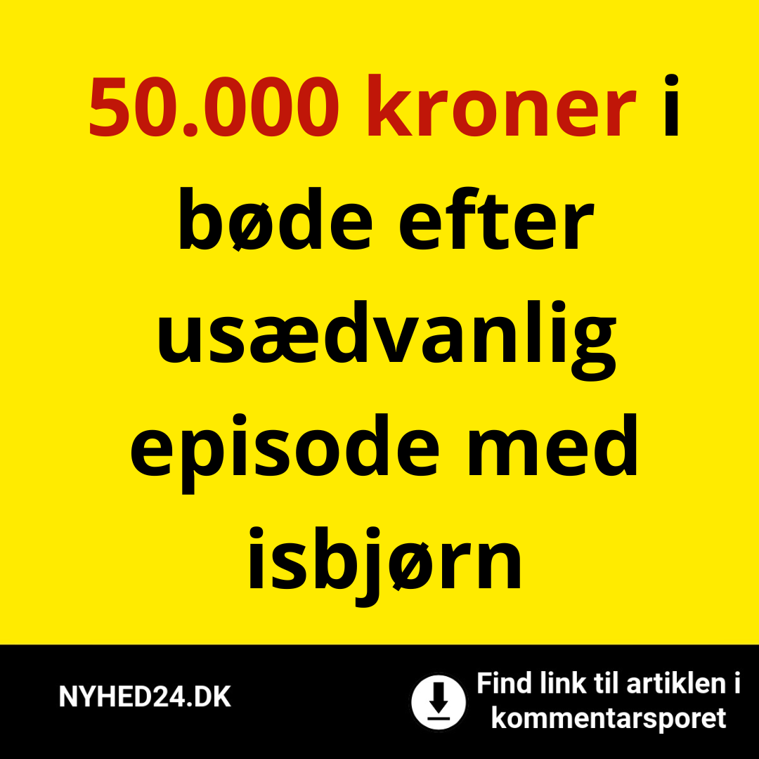 50.000 kroner i bøde efter usædvanlig episode med isbjørn