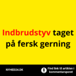 Indbrudstyv taget på fersk gerning