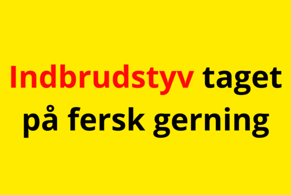 Indbrudstyv taget på fersk gerning