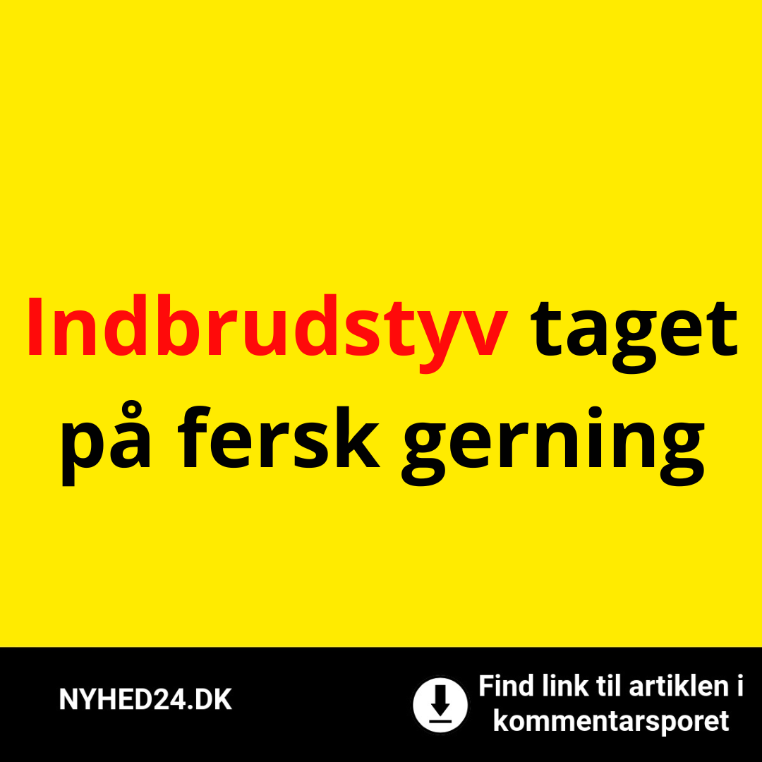 Indbrudstyv taget på fersk gerning
