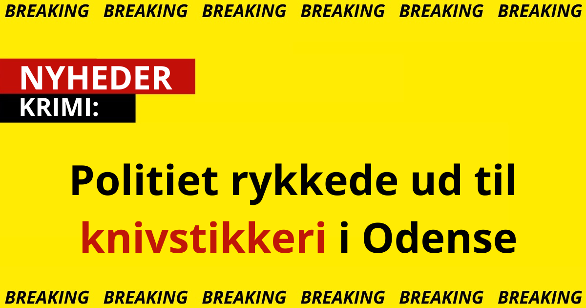 Politiet rykkede ud til knivstikkeri i Odense