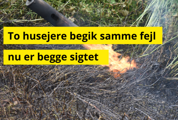 Brugte ukrudtsbrænder – nu er to husejere sigtet