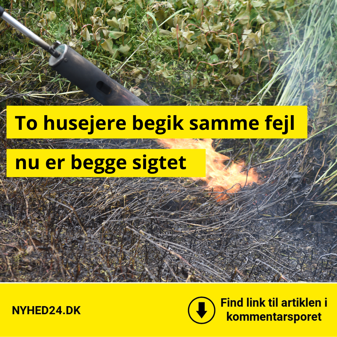 Brugte ukrudtsbrænder – nu er to husejere sigtet