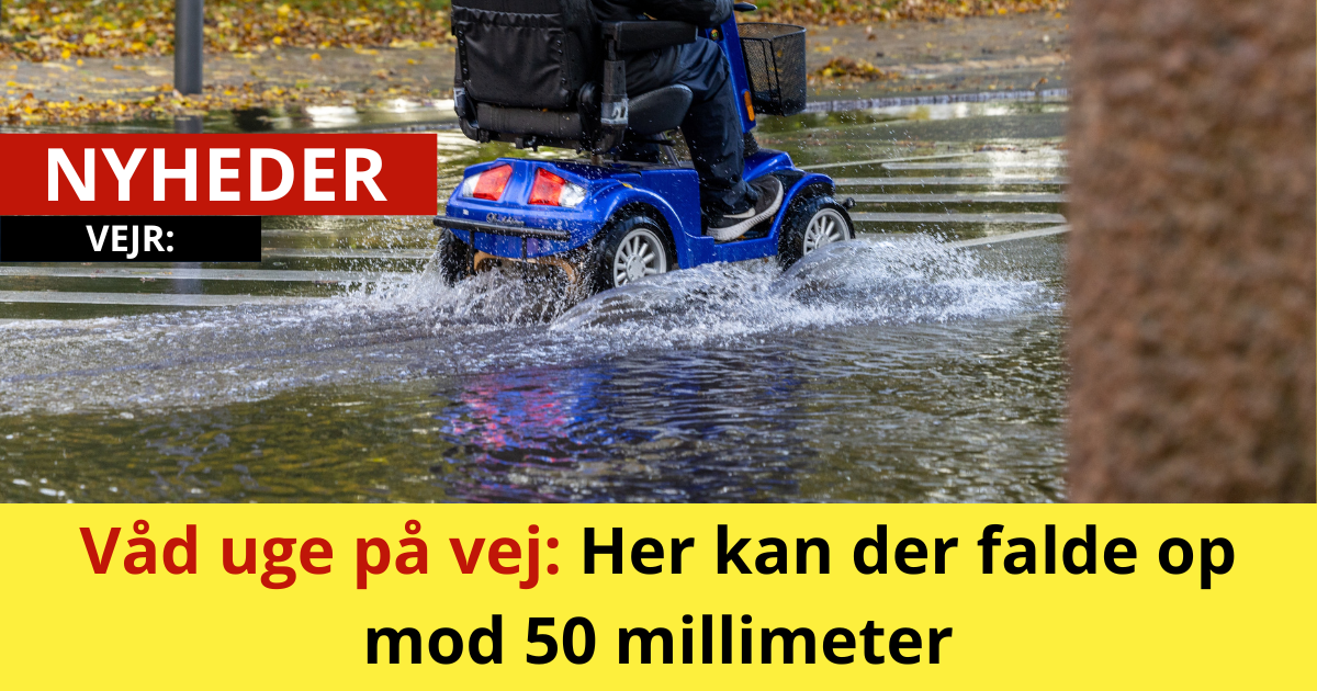 Våd uge på vej: Her kan der falde op mod 50 millimeter