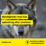 Ny udvikling i jagten på problemulven