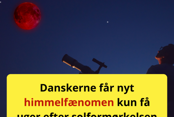 Ny formørkelse på vej – denne gang bliver Månen næsten dækket