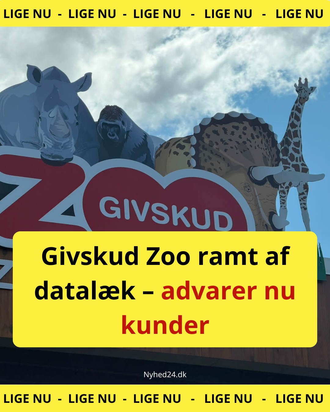 Givskud Zoo ramt af datalæk – advarer nu kunder