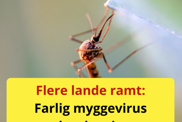 Frygtet virus breder sig – 12 lande ramt