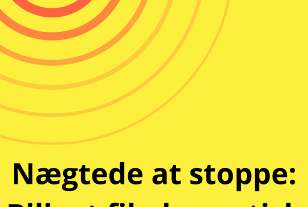 Nægtede at stoppe: Biljagt fik dramatisk afslutning