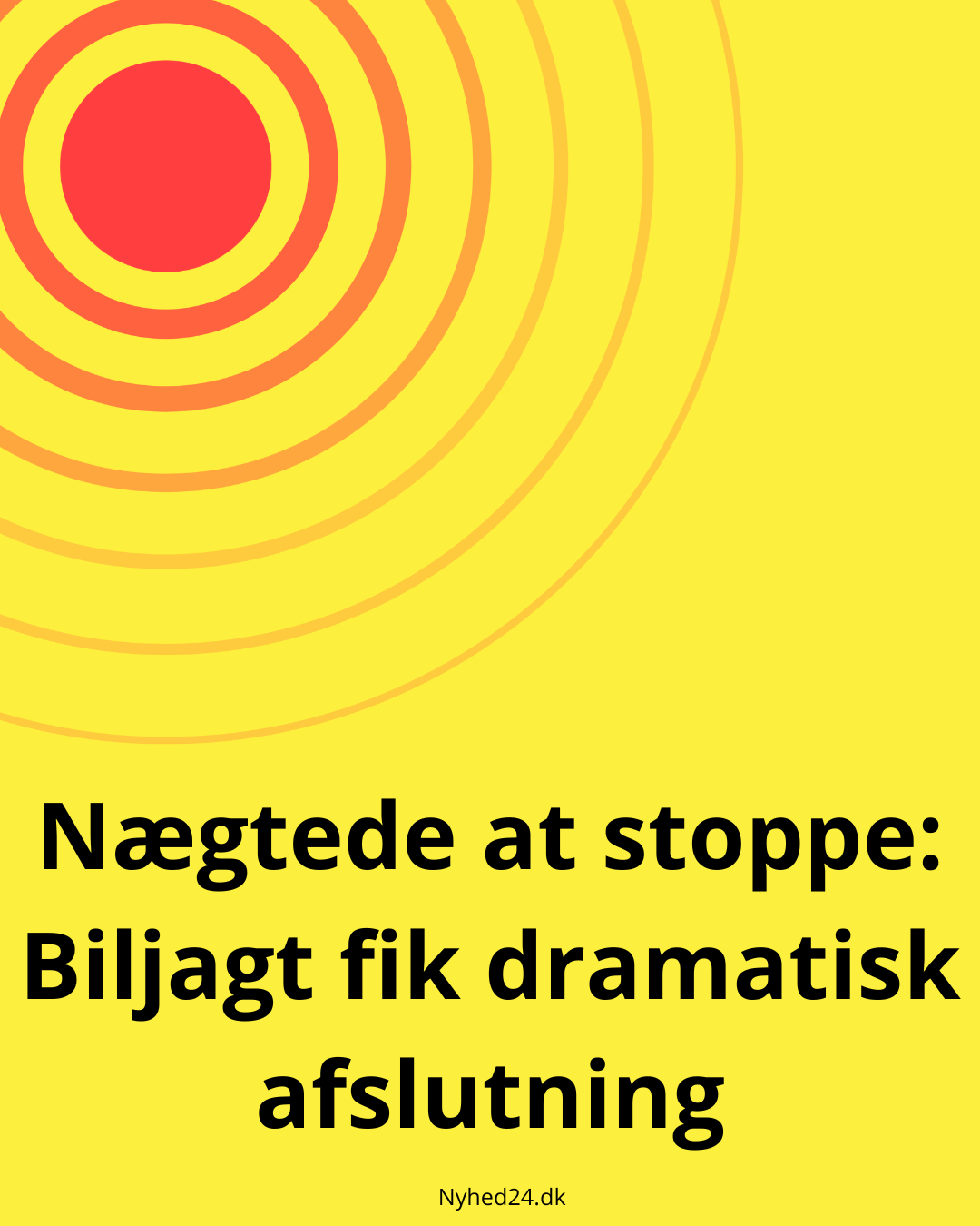 Nægtede at stoppe: Biljagt fik dramatisk afslutning