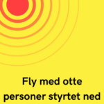 Fly med otte personer styrtet ned