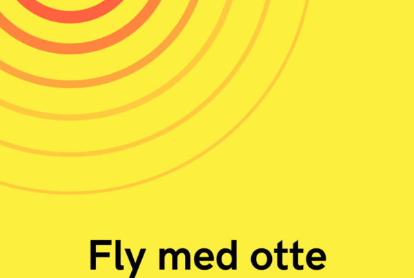 Fly med otte personer styrtet ned