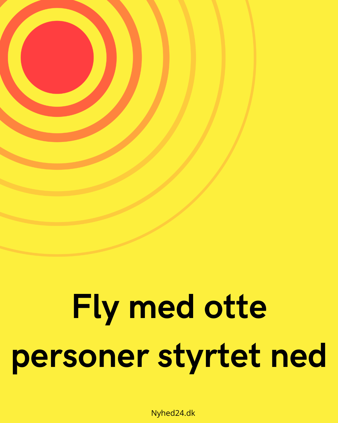 Fly med otte personer styrtet ned