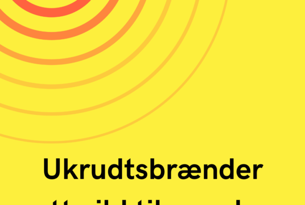 Ukrudtsbrænder satte ild til anneks - Mand sigtet