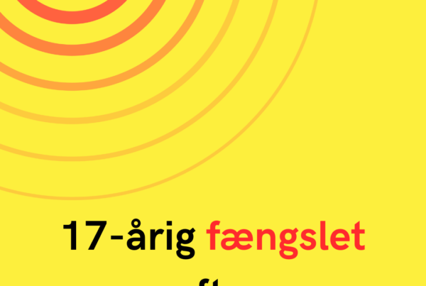 17-årig fængslet efter macheteoverfald