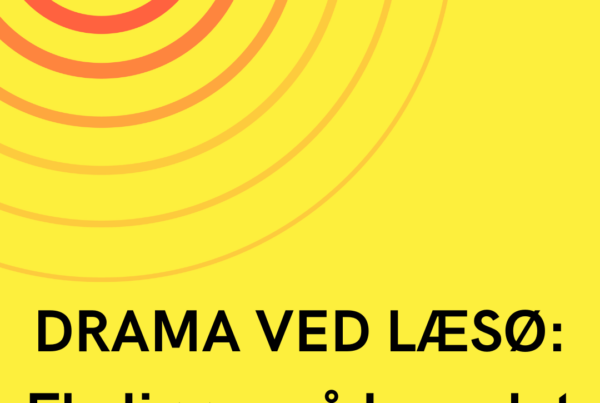 DRAMA VED LÆSØ: Fly ligger på hovedet i vandet