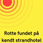 Rotte fundet på kendt strandhotel