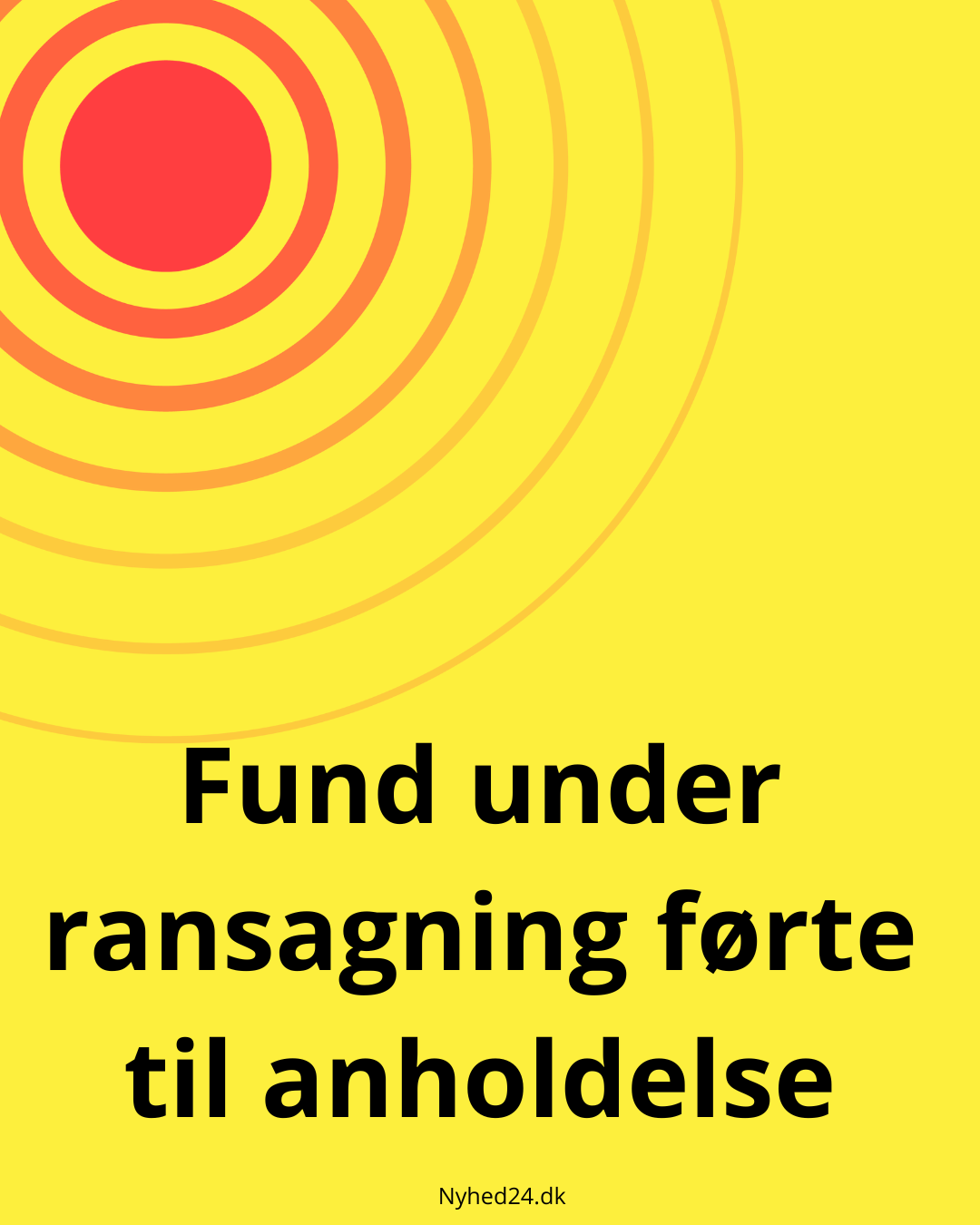 Fund under ransagning førte til anholdelse