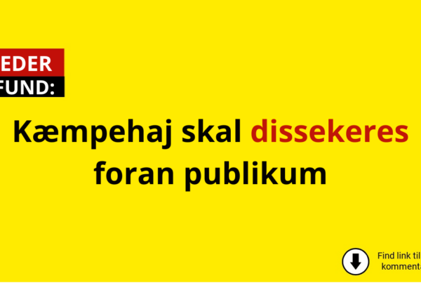 Kæmpehaj skal dissekeres foran publikum