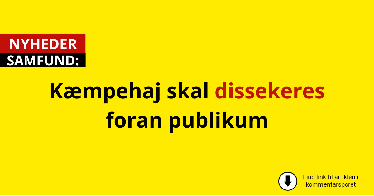 Kæmpehaj skal dissekeres foran publikum
