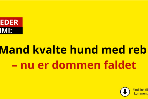 Mand kvalte hund med reb – nu er dommen faldet
