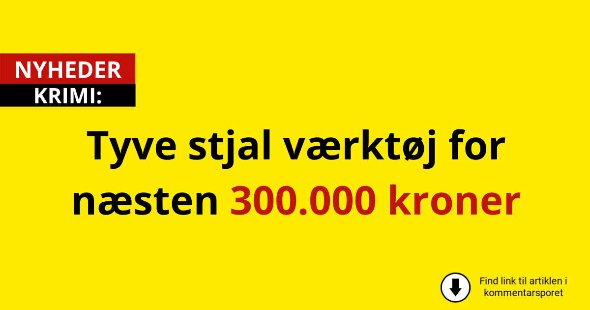 Tyve stjal værktøj for næsten 300.000 kroner