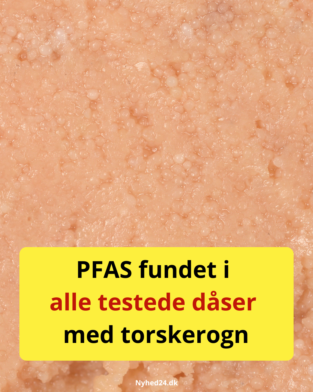 PFAS fundet i alle testede dåser med torskerogn