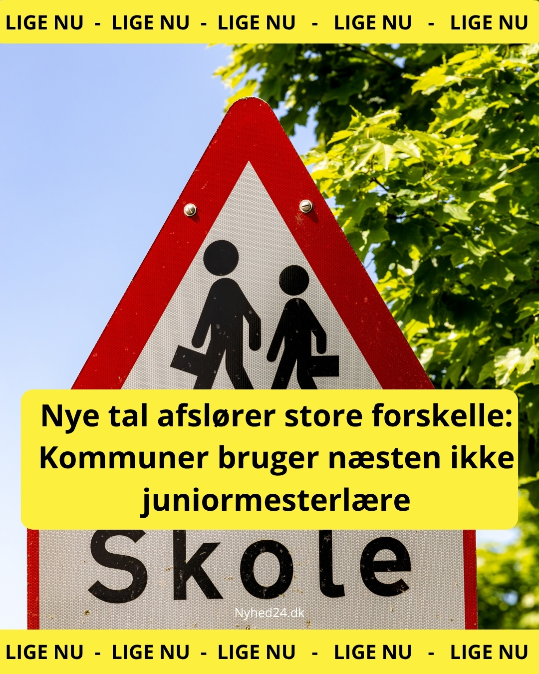 Nye tal afslører store forskelle: Kommuner bruger næsten ikke juniormesterlære