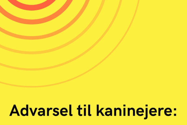 Advarsel til kaninejere: Dødelig sygdom fundet i Danmark