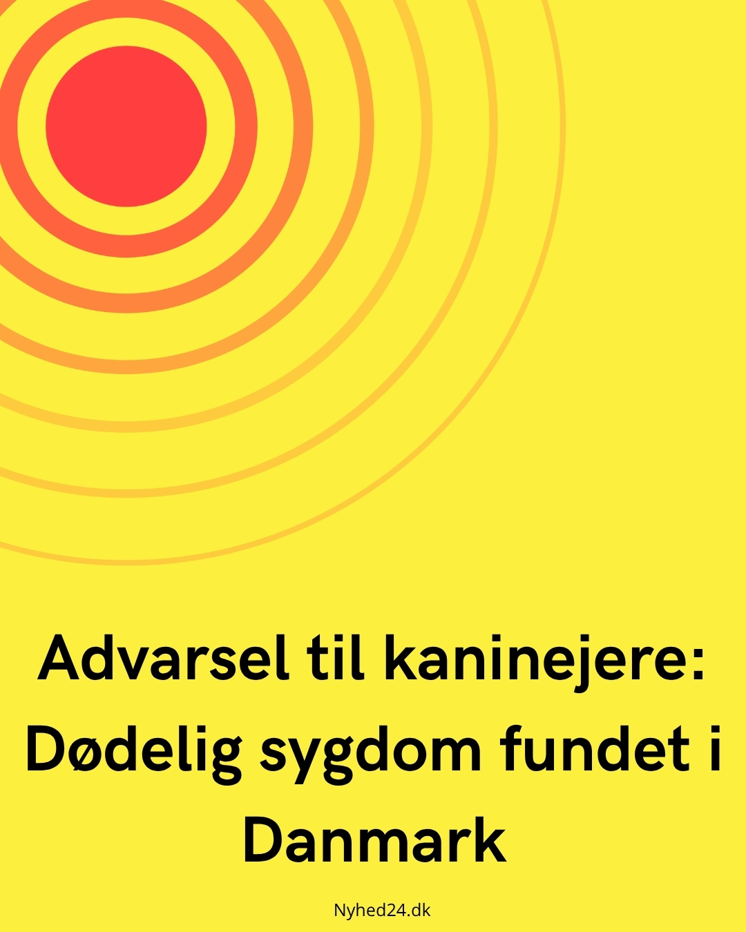 Advarsel til kaninejere: Dødelig sygdom fundet i Danmark