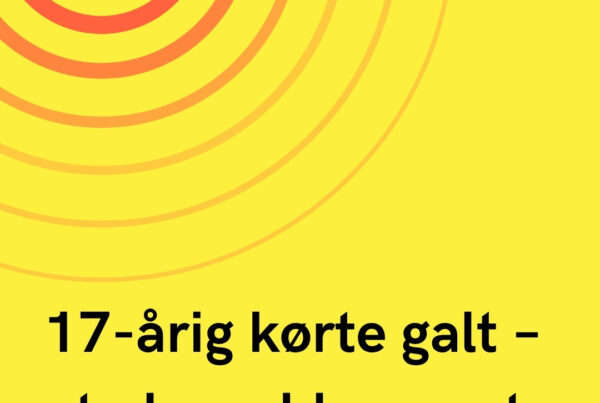 17-årig kørte galt – to huse blev ramt