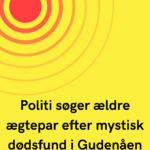 Politiet efterlyser vidner efter dødsfund: Har du set dem?