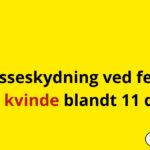 Masseskydning ved fest: Gravid kvinde blandt 11 dræbte
