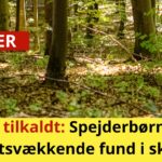 Politiet tilkaldt: Spejderbørn gjorde opsigtsvækkende fund i skoven