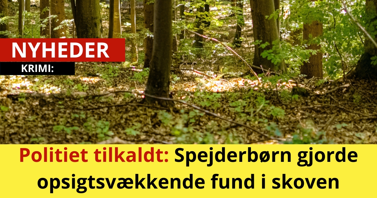 Politiet tilkaldt: Spejderbørn gjorde opsigtsvækkende fund i skoven