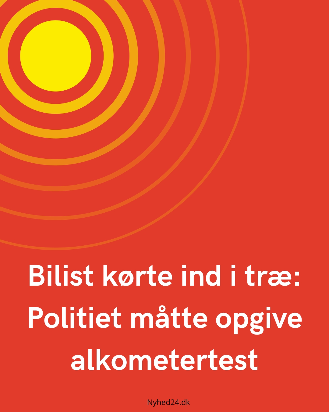 Bilist kørte ind i træ: Politiet måtte opgive alkometertest