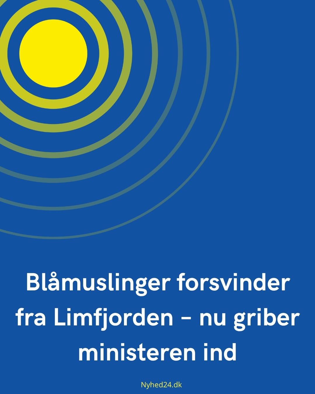 Blåmuslinger forsvinder fra Limfjorden – nu griber ministeren ind