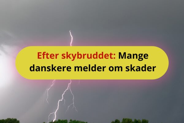yn og skybrud har kostet dyrt for boligejere